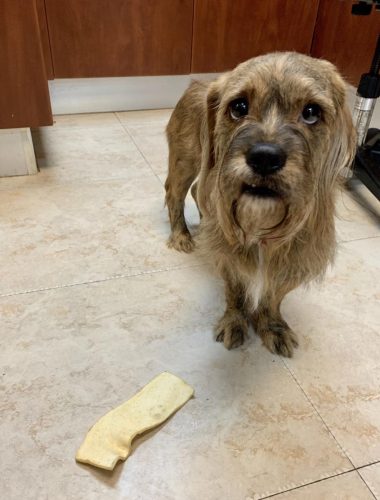 Fergus-and-bone-scaled