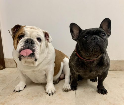Pucca-and-Lola-scaled