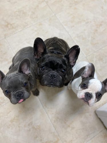 lola-and-babies-1-scaled